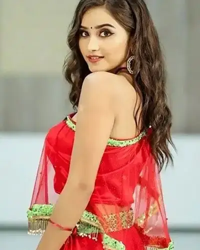 Call Girls Service Challakere